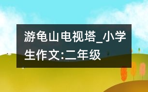 游龜山電視塔_小學生作文:二年級