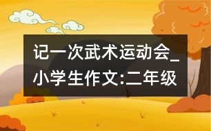 記一次武術(shù)運(yùn)動(dòng)會(huì)_小學(xué)生作文:二年級(jí)