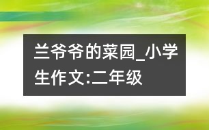 蘭爺爺?shù)牟藞@_小學生作文:二年級