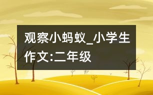 觀察小螞蟻_小學生作文:二年級