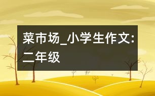 菜市場_小學(xué)生作文:二年級