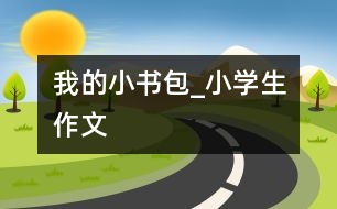 我的小書包_小學生作文