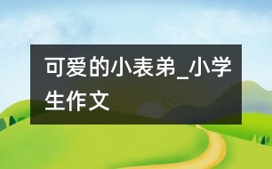 可愛的小表弟_小學生作文