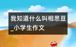 我知道什么叫相思豆_小學生作文