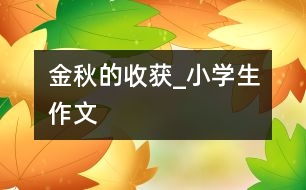 金秋的收獲_小學生作文