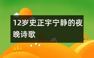 12歲史正宇：寧靜的夜晚（詩歌）