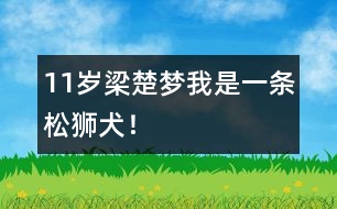 11歲梁楚夢：我是一條松獅犬！