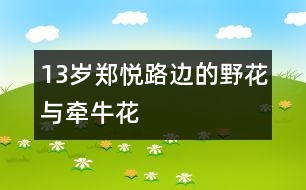 13歲鄭悅：路邊的野花與牽?；?></p>										
													<P>作者簡介：<BR>作者：鄭悅<BR>性別： 年齡：13<BR>學(xué)校：廣東省佛山市南海區(qū)桂城桂江一中102班 <BR>年級：初一<BR>輔導(dǎo)老師：賀紹堂</P><P><BR>                     <BR>    牽牛花依傍著一棵大樹爬得很高很高，而小野花一點也不顯眼地長在路坎邊。<BR>                     <BR>    一天，牽?；ò炎彀屯砍筛鞣N顏色，一齊對著路邊的小野花嘲笑：藍嘴巴說：“小野花，你是吃多了玩童的尿了，長不高的?！本G嘴巴說：“你是天生基因決定，長不高的?！弊献彀驼f：“什么都只能靠邊站，一點見識也沒有，多慚愧?！弊詈蠹t嘴巴高興得唱起了歌：“嗚喇、嗚喇，我嘴小勁大。白云被我吹著跑，雷公與我把話拉。清晨小鳥就請安，嗚喇、嗚喇，我有一張小嘴巴?！?BR>                     <BR>    正當牽?；ǖ靡庵畷r，幾個伐木工人看中了牽牛花所依傍的大樹，隨著一聲聲伐木機聲，牽?；☉?yīng)聲倒下了，它甩得很慘，從此再也未見它爬起來過。<BR>                     <BR>    點評：小作者緊扣寓言在生動的故事中寄寓深刻道理的特點，運用擬人手法，再現(xiàn)自吹自擂者形象，結(jié)尾耐人尋味。<BR></P></td>            </tr>			<tr>              						</div>
						</div>
					</div>
					<div   id=