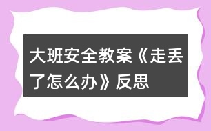 大班安全教案《走丟了怎么辦》反思