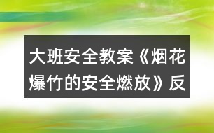 大班安全教案《煙花爆竹的安全燃放》反思