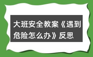 大班安全教案《遇到危險怎么辦》反思