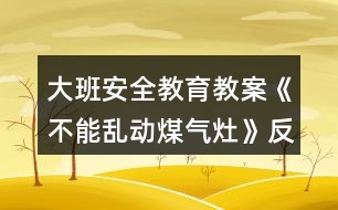 大班安全教育教案《不能亂動(dòng)煤氣灶》反思