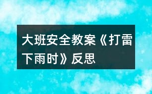 大班安全教案《打雷下雨時(shí)》反思