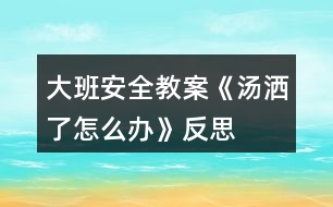 大班安全教案《湯灑了怎么辦》反思