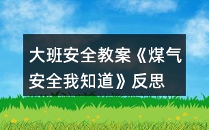 大班安全教案《煤氣安全我知道》反思