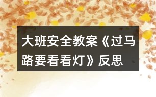 大班安全教案《過馬路要看看燈》反思