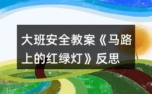 大班安全教案《馬路上的紅綠燈》反思