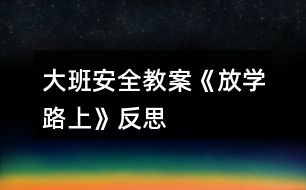 大班安全教案《放學路上》反思