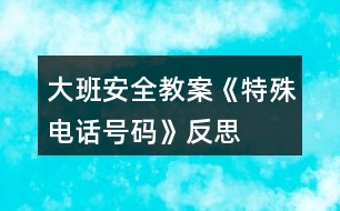 大班安全教案《特殊電話號(hào)碼》反思