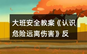 大班安全教案《認(rèn)識危險、遠(yuǎn)離傷害》反思