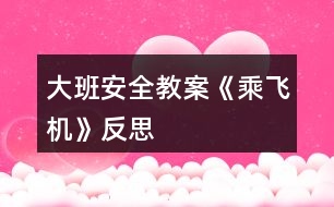 大班安全教案《乘飛機》反思