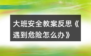 大班安全教案反思《遇到危險(xiǎn)怎么辦》