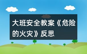 大班安全教案《危險(xiǎn)的火災(zāi)》反思