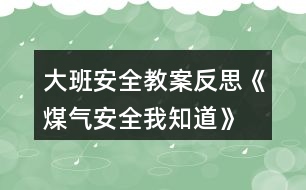 大班安全教案反思《煤氣安全我知道》