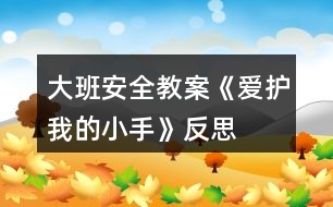 大班安全教案《愛護(hù)我的小手》反思