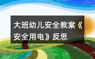 大班幼兒安全教案《安全用電》反思