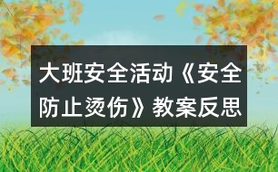 大班安全活動(dòng)《安全防止?fàn)C傷》教案反思