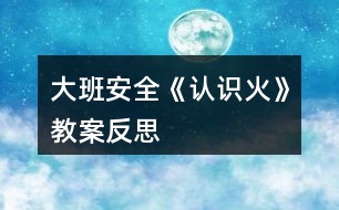 大班安全《認(rèn)識(shí)火》教案反思