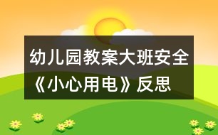 幼兒園教案大班安全《小心用電》反思