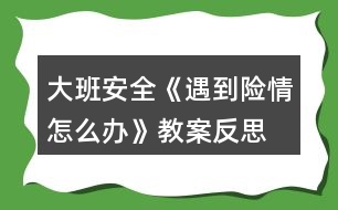 大班安全《遇到險(xiǎn)情怎么辦》教案反思