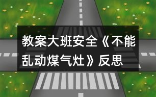 教案大班安全《不能亂動煤氣灶》反思