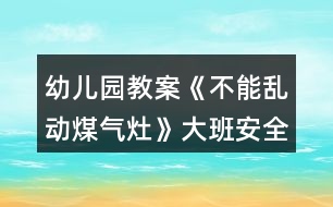 幼兒園教案《不能亂動(dòng)煤氣灶》大班安全教育反思