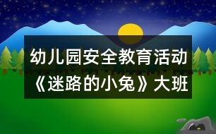 幼兒園安全教育活動《迷路的小兔》大班教案反思