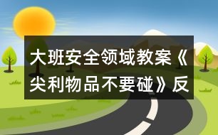 大班安全領(lǐng)域教案《尖利物品不要碰》反思