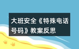 大班安全《特殊電話號碼》教案反思