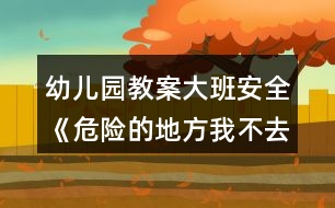 幼兒園教案大班安全《危險的地方我不去》反思