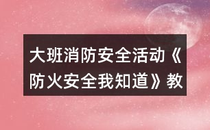 大班消防安全活動《防火安全我知道》教學設(shè)計反思