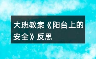 大班教案《陽臺(tái)上的安全》反思