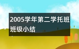 2005學(xué)年第二學(xué)托班班級(jí)小結(jié)