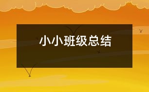 小小班級(jí)總結(jié)