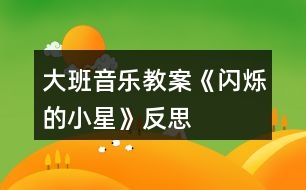 大班音樂教案《閃爍的小星》反思