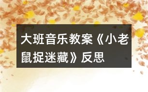 大班音樂教案《小老鼠捉迷藏》反思