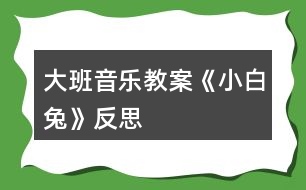 大班音樂教案《小白兔》反思