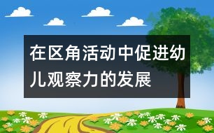 在區(qū)角活動中促進(jìn)幼兒觀察力的發(fā)展