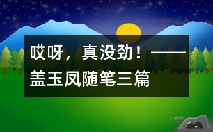 “哎呀，真沒勁！”――蓋玉鳳隨筆三篇