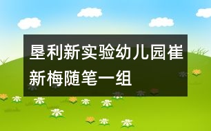 墾利新實驗幼兒園崔新梅隨筆一組